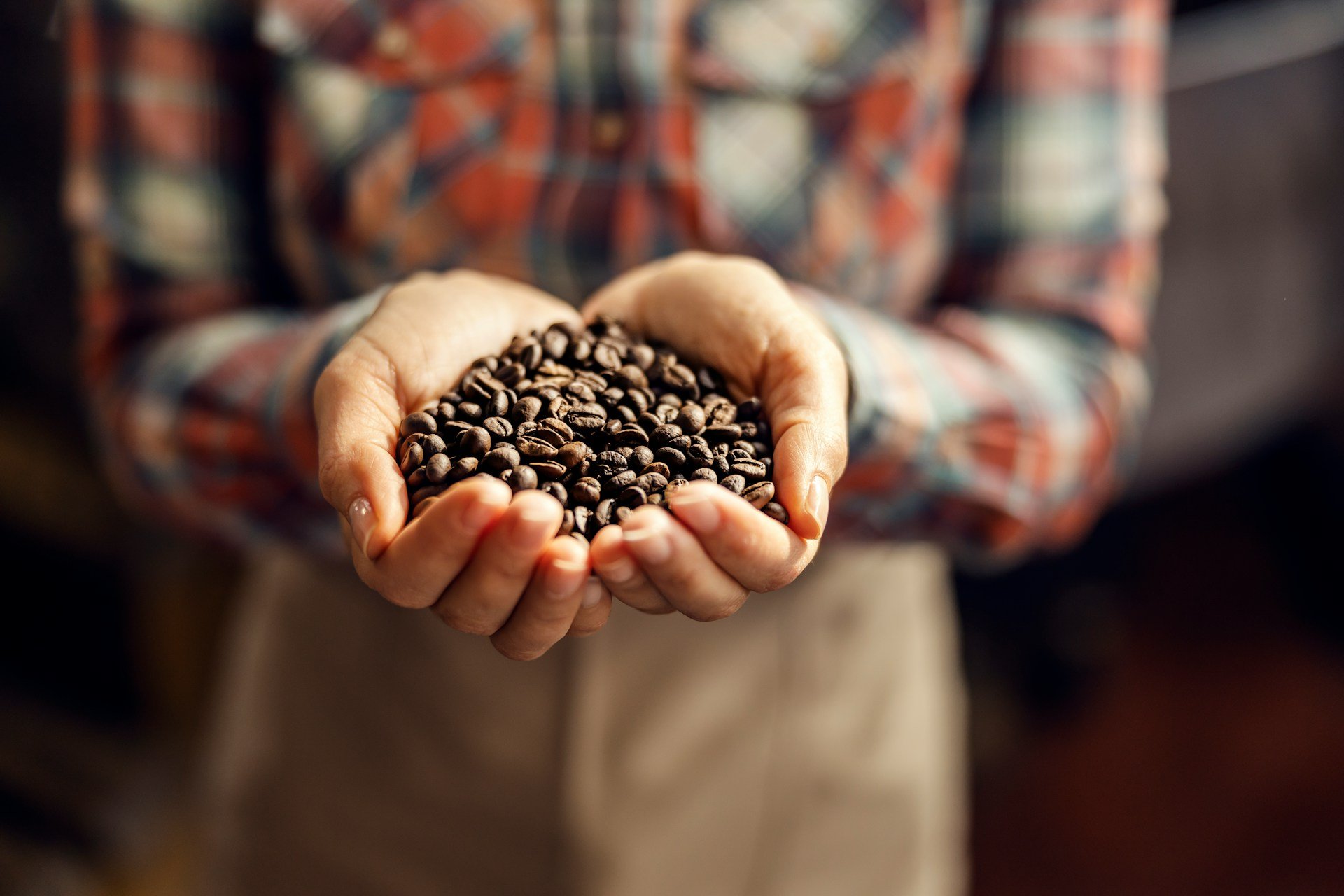 Why your morning cup of coffee is at risk from Climate Change