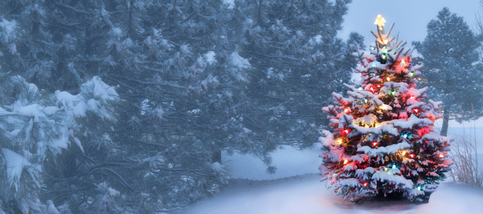 Christmas Forecast - will it snow? Model mayhem paints an unclear picture for now.