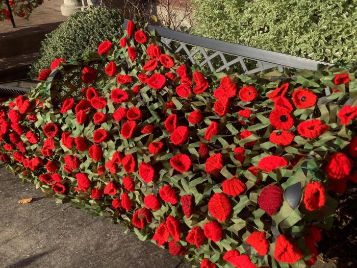 Outlook for Remembrance Sunday