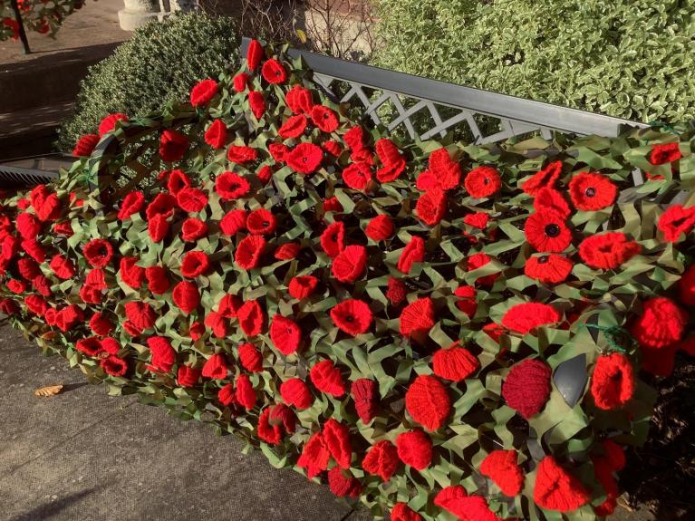 Outlook for Remembrance Sunday