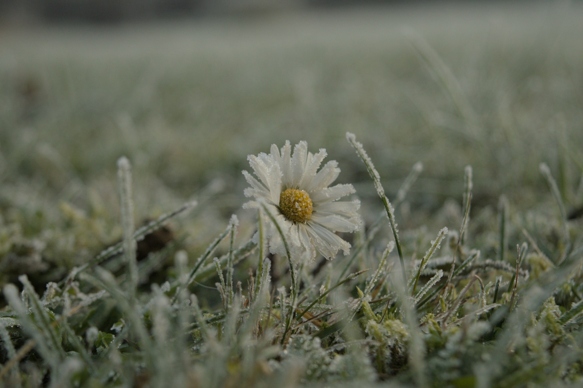 Warm plume and cooler easterlies trade blows in a fortnight of shifting air masses