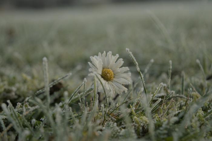 Warm plume and cooler easterlies trade blows in a fortnight of shifting air masses