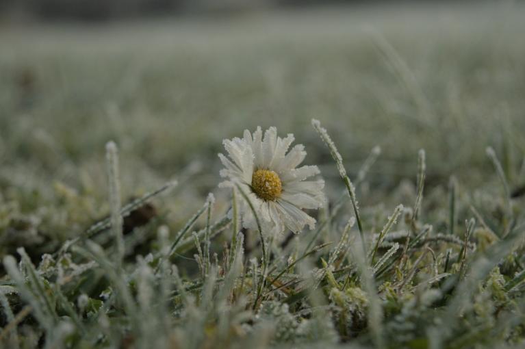 Warm plume and cooler easterlies trade blows in a fortnight of shifting air masses