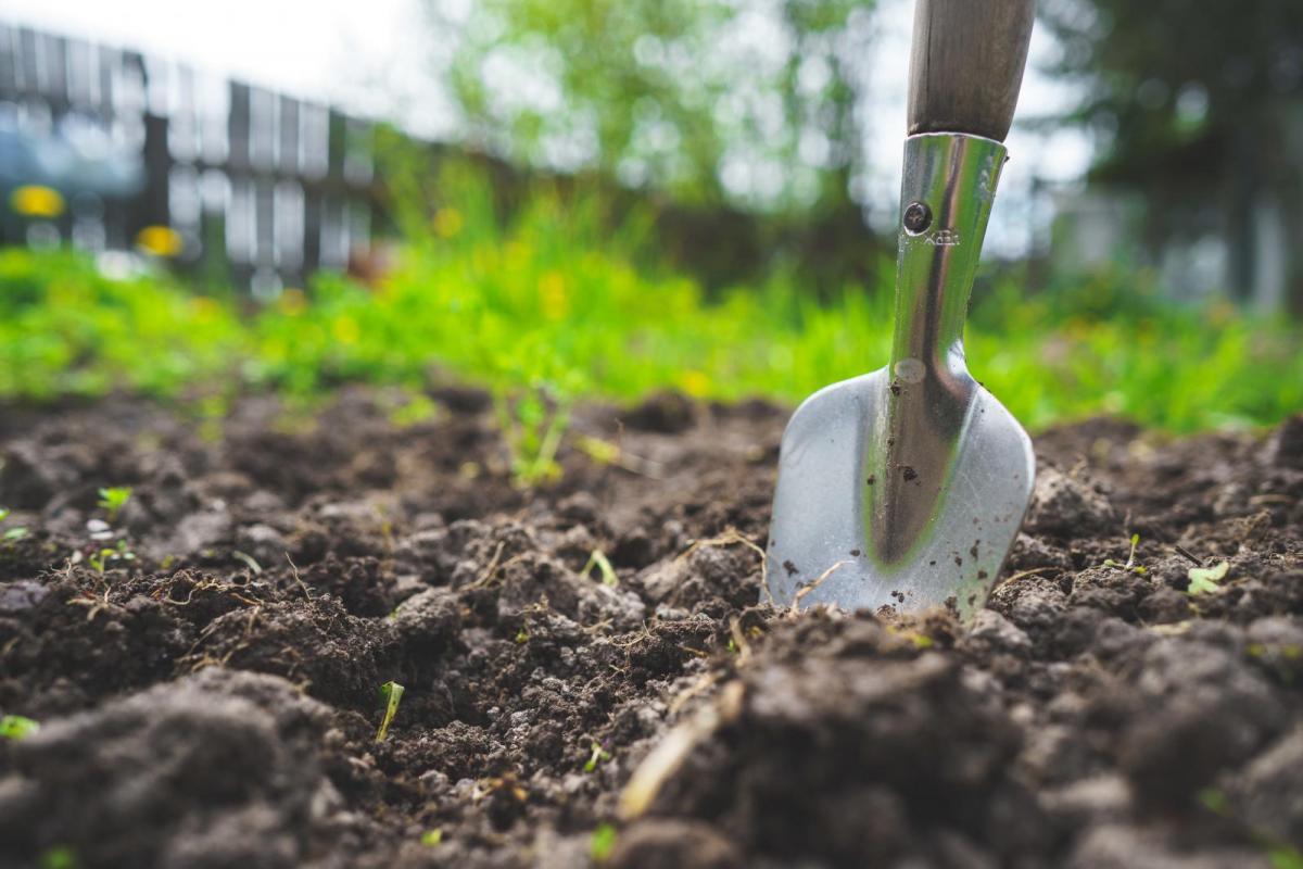 Lockdown Gardening - Top Tips for New Gardeners