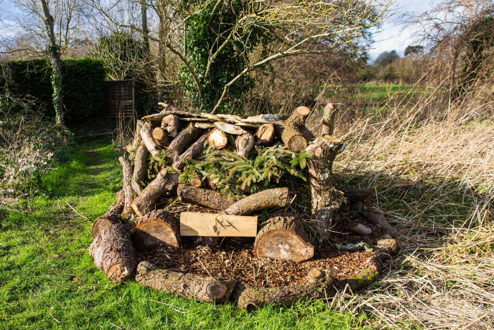 Make a log-pile habitat
