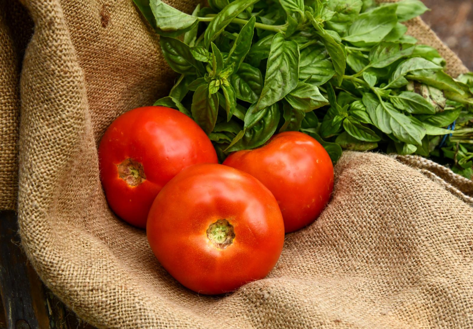 Basil and tomato