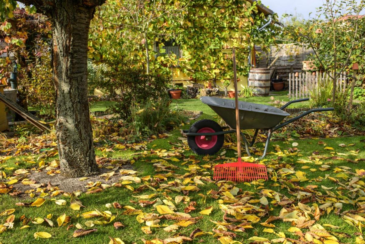 First Frosts and Another Lockdown: Your Monthly Gardening Guide for November 2020
