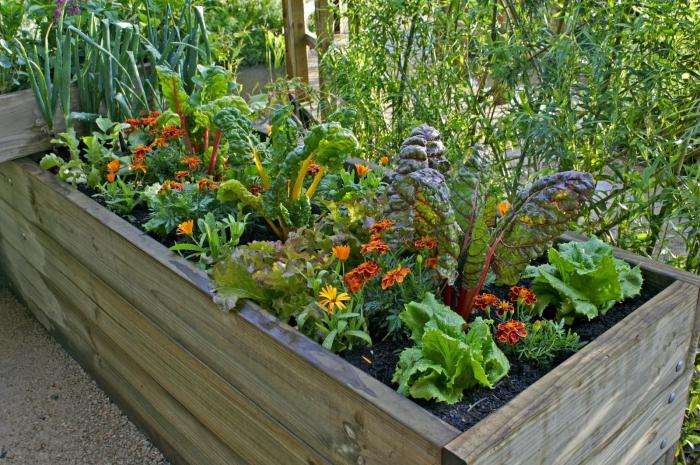 How to Create a Container Vegetable Garden