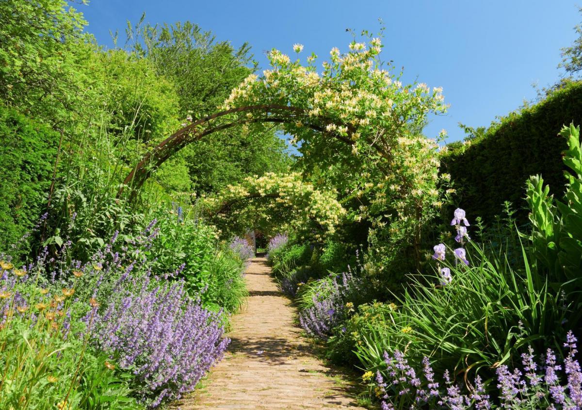 Get Closer to Nature - Simple, Fun Ways to Attract More Wildlife into Your Garden