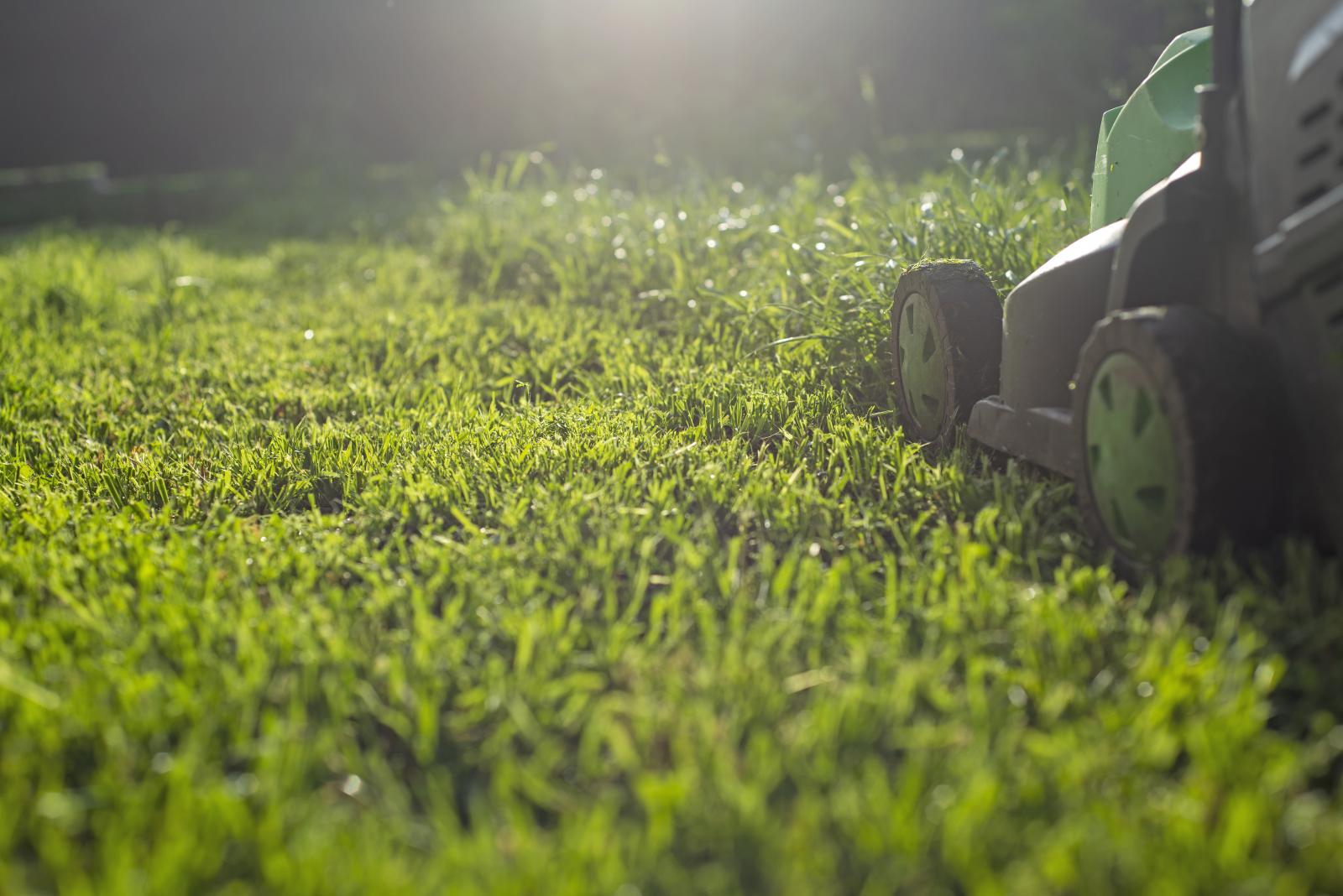 Mowing the lawn