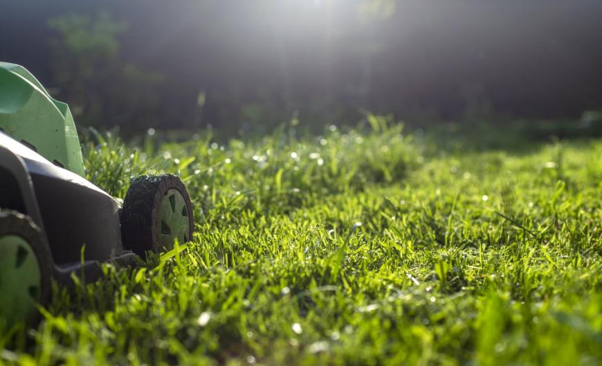 Mowing the grass