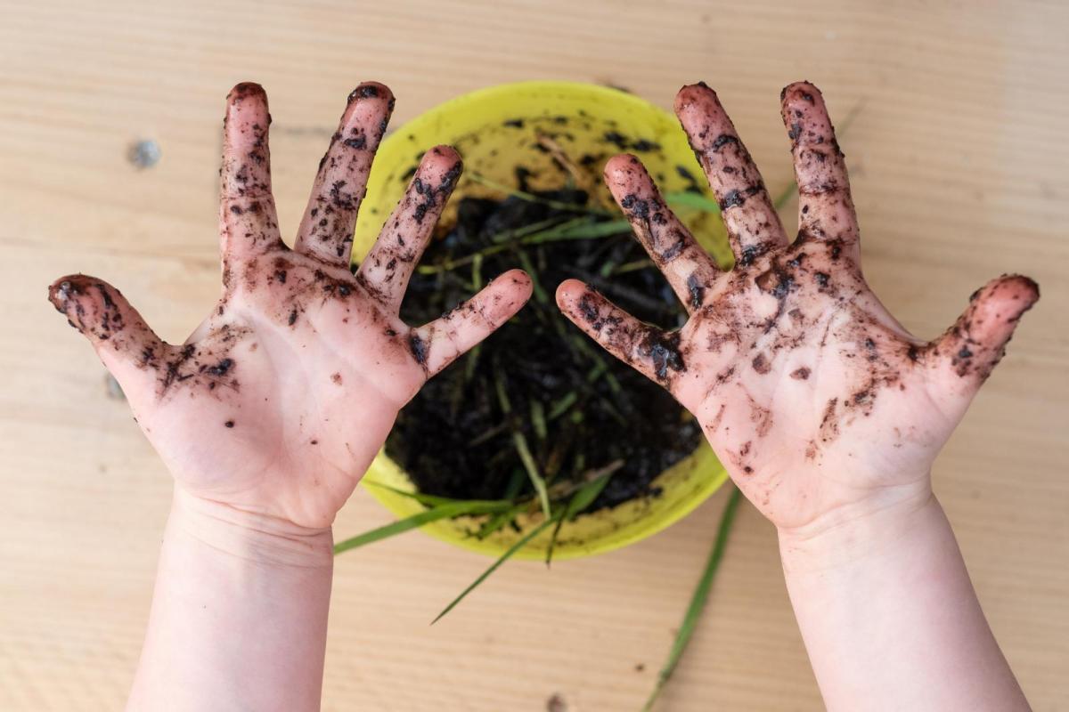 Get the Kids Outside - 7 Ideas for a Nature-Filled Half-Term