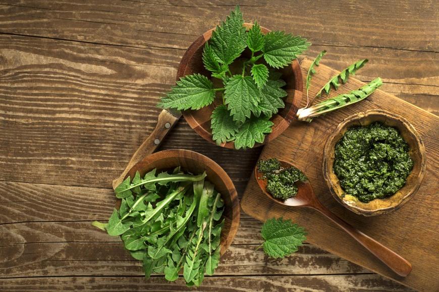 Nettle soup