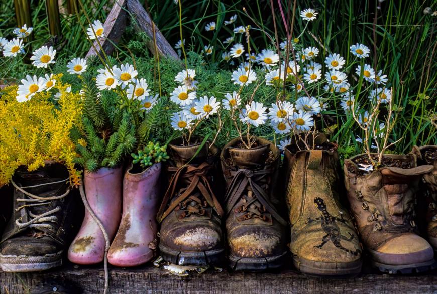 Recycled boots as planters