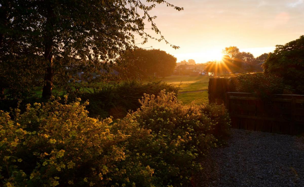 Hello Autumn! Your Monthly Gardening Guide for September
