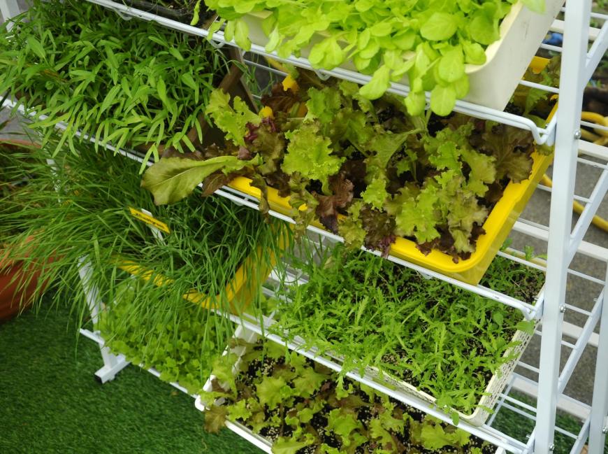 Stacking planting containers to maximise space