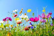 Heat peaking and then easing this weekend