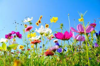 Heat peaking and then easing this weekend