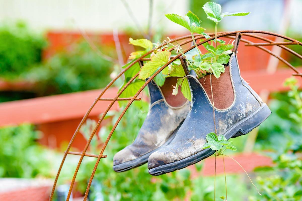 How to Be a Thrifty Gardener: 10 Tips for Gardening During Lockdown