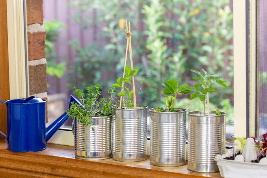 Windowsill gardening
