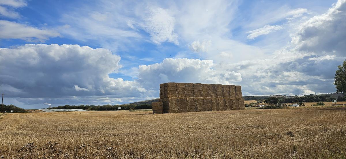 Drought persists in parts of Britain even with September rain