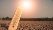 Thursday's heat peaks near 38C, with amber extreme heat warnings issued