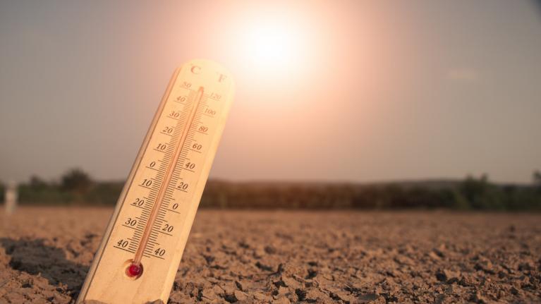 Thursday's heat peaks near 38C, with amber extreme heat warnings issued