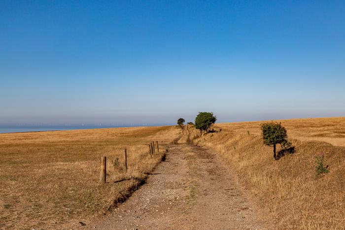 Kew provisionally reaches 38.1C, with the heat easing but holding on longest in the south-east