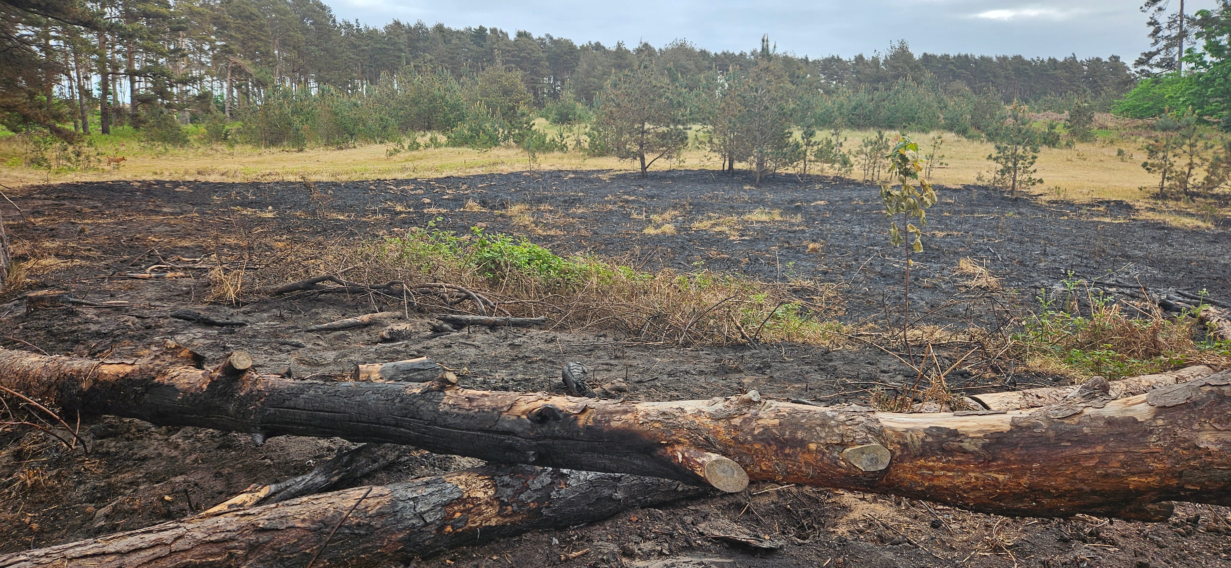 Southern heat retreats for the start of the weekend, but severe wildfire risk remains