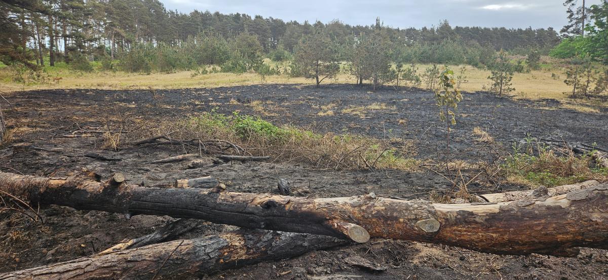 Southern heat retreats for the start of the weekend, but severe wildfire risk remains