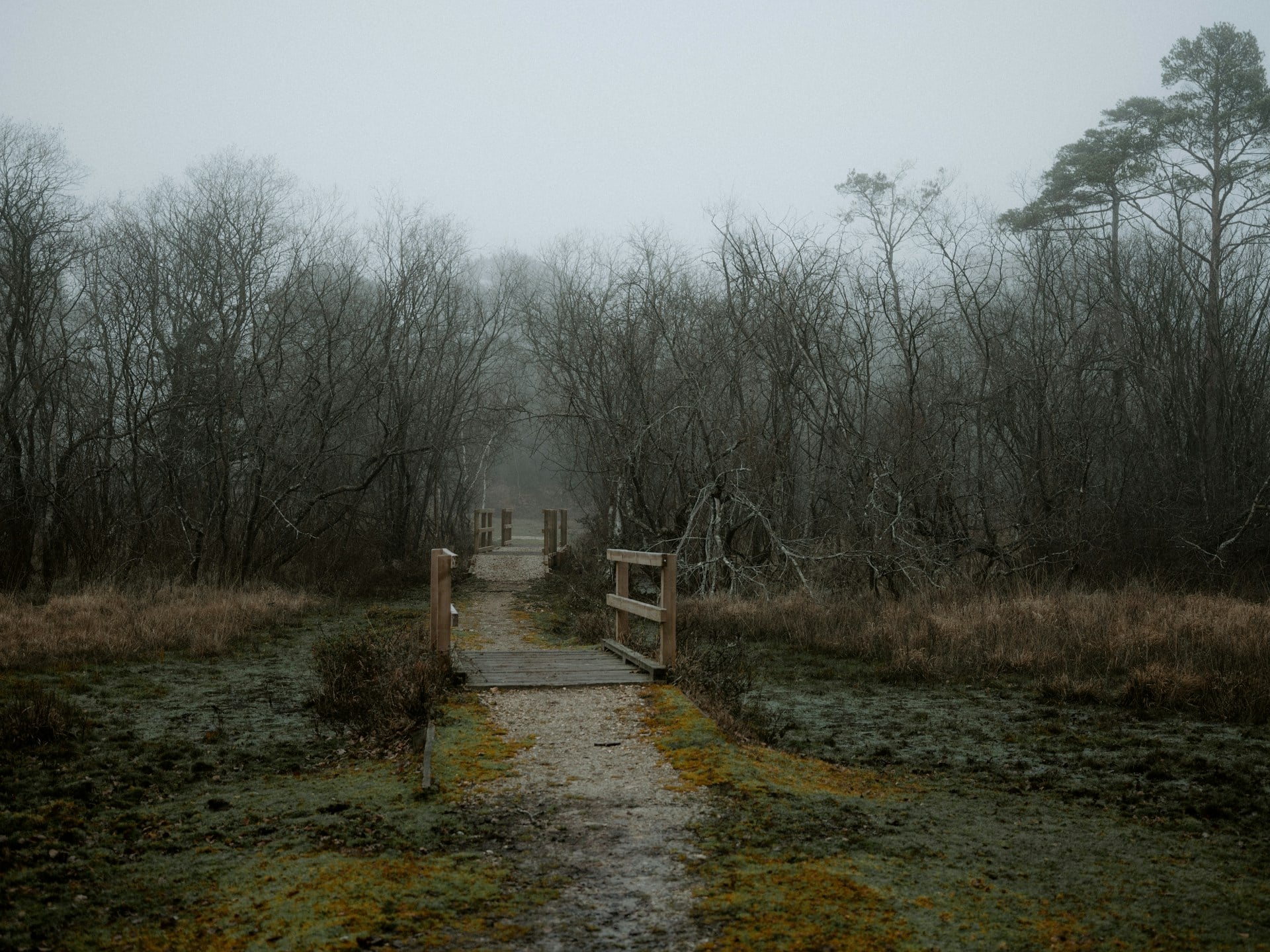 Turning much milder, but often cloudy with occasional rain