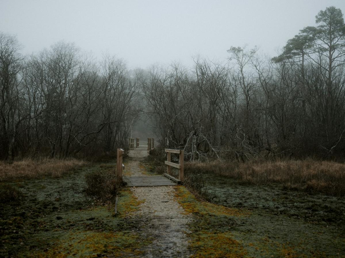 Turning much milder, but often cloudy with occasional rain