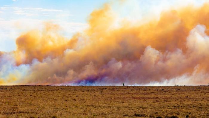 Dry March  fuelling numerous wildfires across the UK