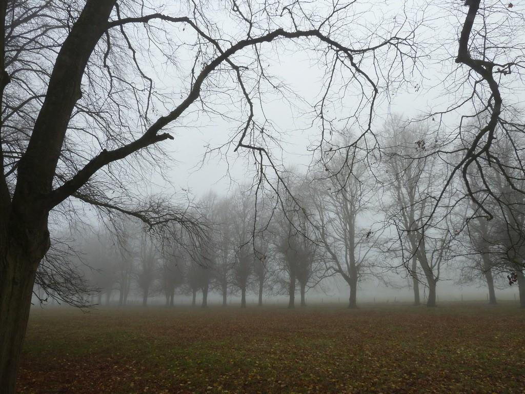 UK Weather : A milder week with rain and wind but the snow is over for now. 