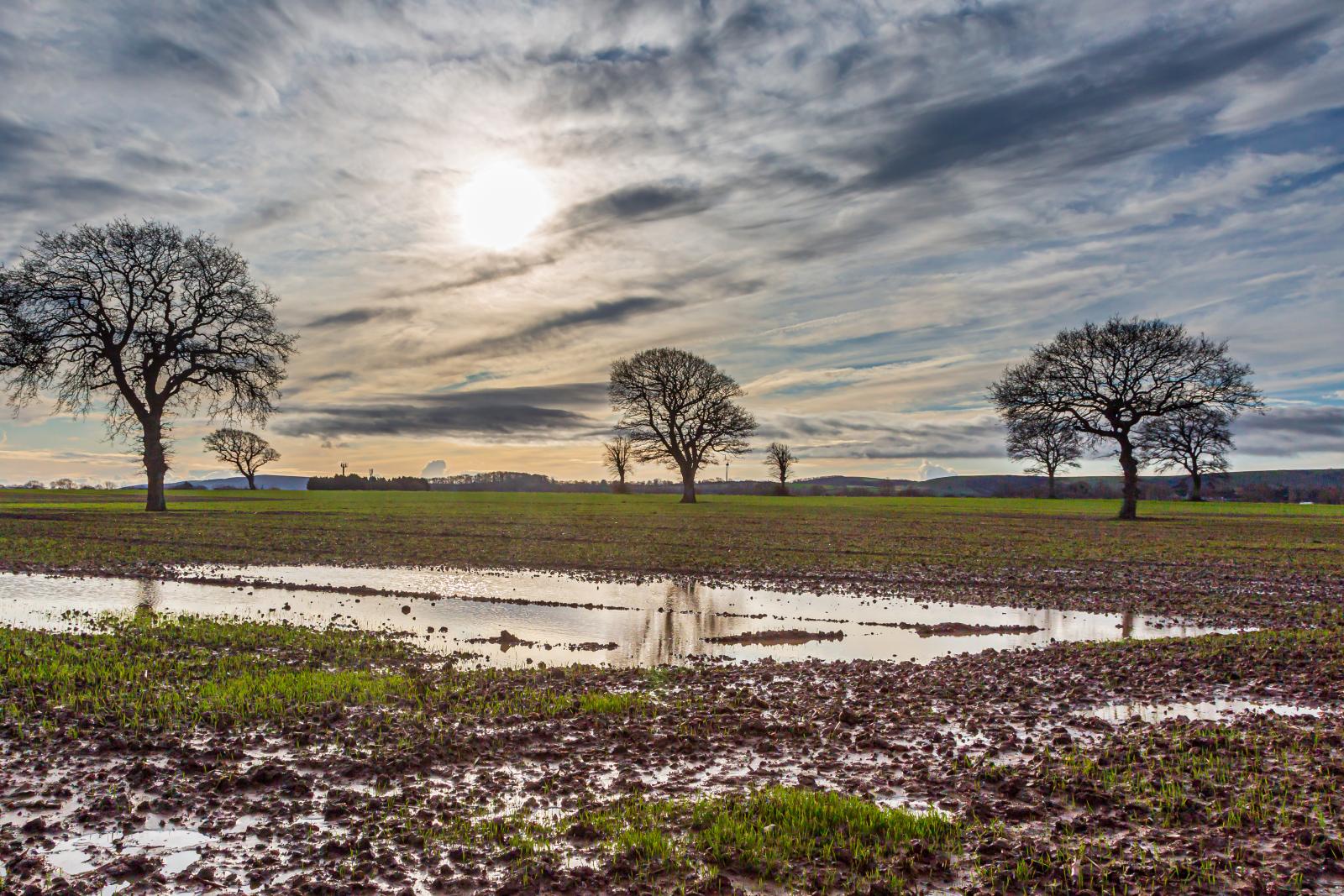 More Rain on the Way: Wet Outlook for Britain