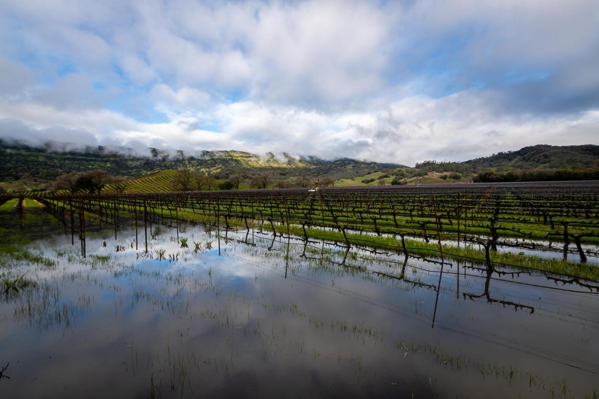No time for recovery as heavy rain brings further flooding to California
