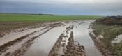 Latest seasonal forecasts signal a mild, wet autumn and early winter
