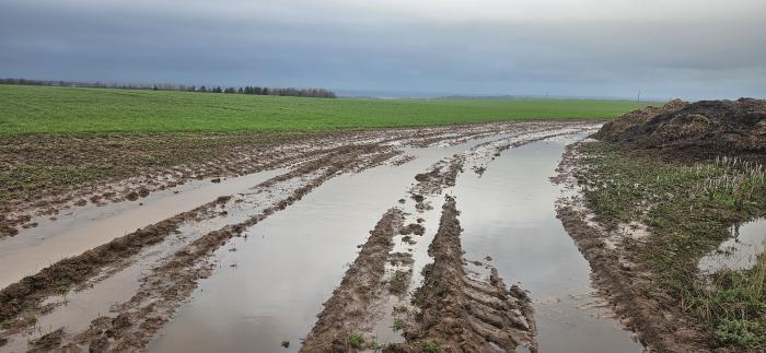 Latest seasonal forecasts signal a mild, wet autumn and early winter