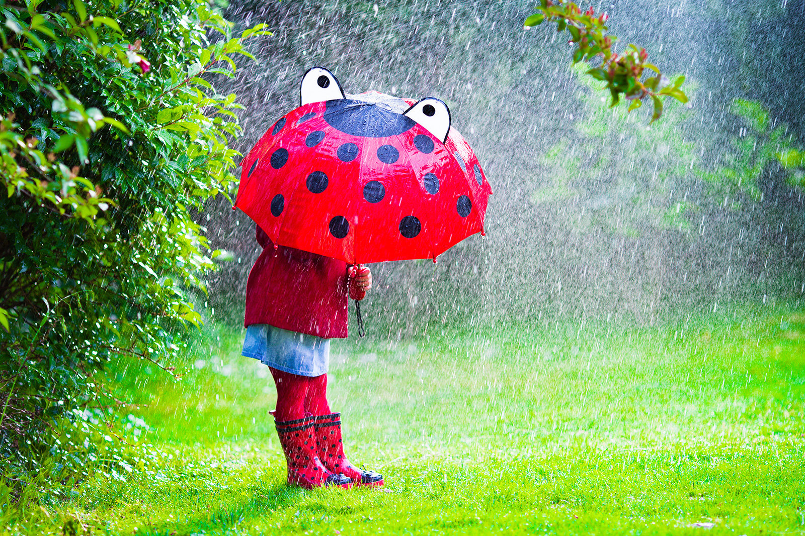 Midweek rain as the schools go back