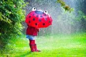 Midweek rain as the schools go back