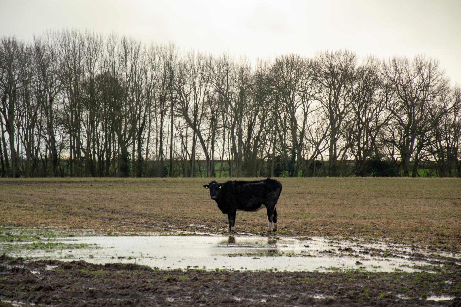 Welcome To 2024 - New Year But The Same Unsettled Weather, For Now...