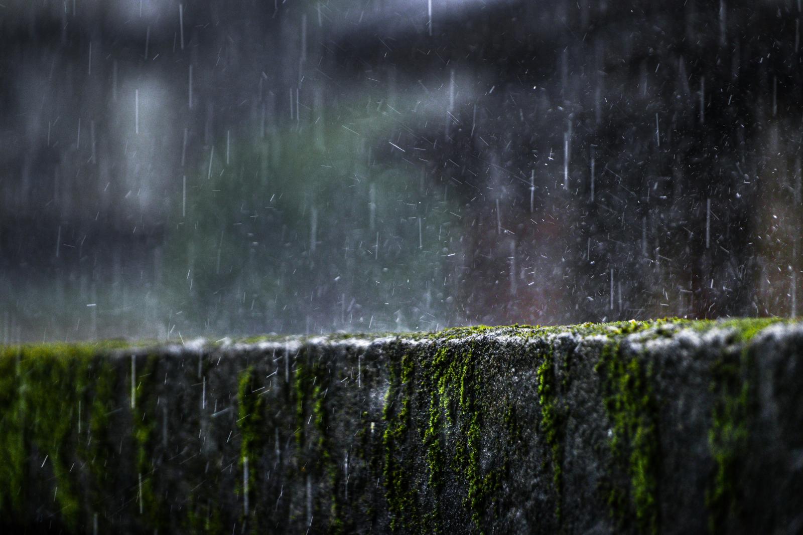 Художник фрэнсис маккрори. Дождь в великобритании. Rainy afternoon. Дождь нью-йорк 60-е годы. Художник фрэнсис маккрори картины.