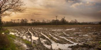 Strong jet stream driven by North American cold will bring wind and rain to the UK