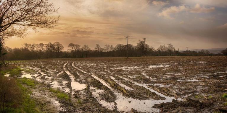 Strong jet stream driven by North American cold will bring wind and rain to the UK