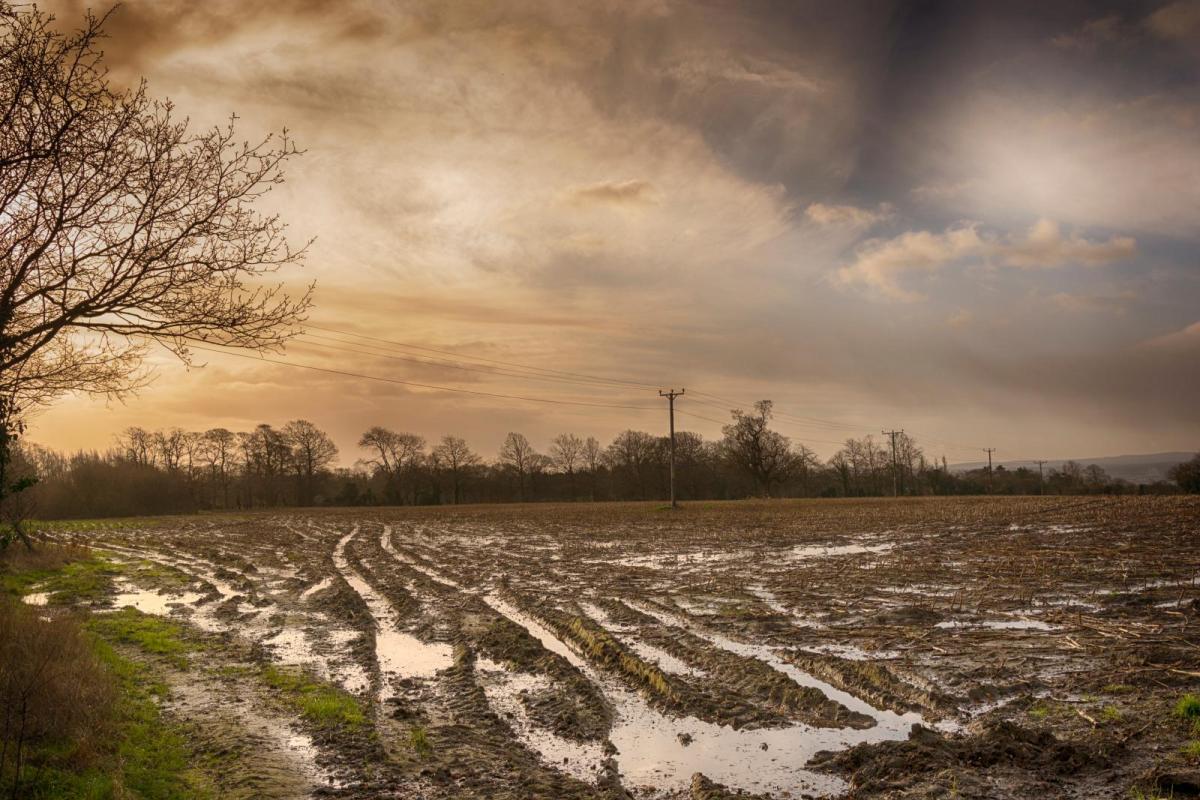 Drier today after a wet February, but more rain on the way this week