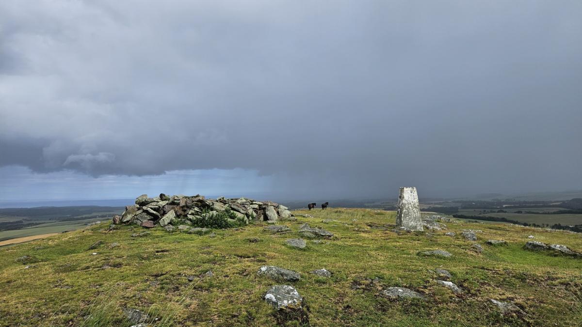 A change to more unsettled conditions on the way this weekend