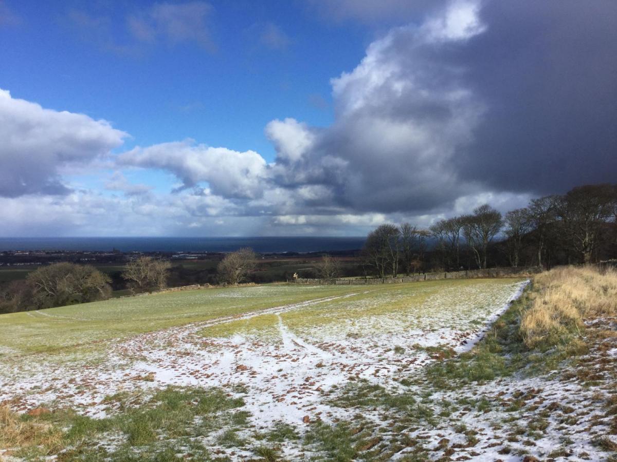 Why it can still snow well into Spring - even when temperatures are well above freezing