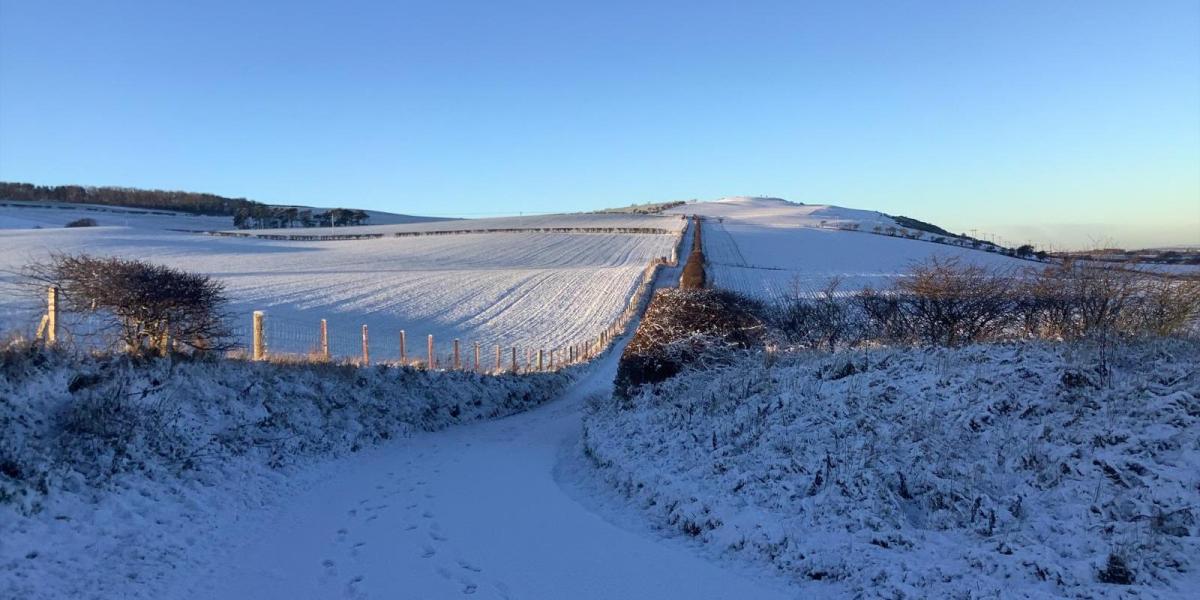 Arctic winds bringing snow and ice to start off 2026