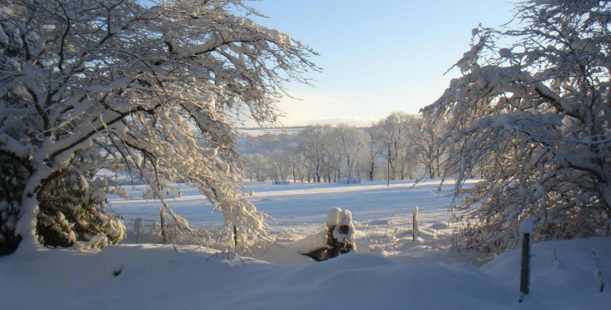 Week Ahead: Remaining cold, but most of any snow confined to Scotland