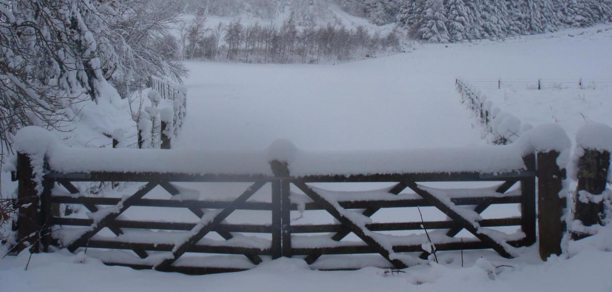 Be Winter Ready with Met Eireann and heavier snowfalls headlines